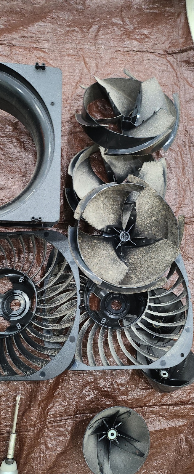 a5b6c44e7cca39fb52de603987f6211f_1766712508_4118.jpg