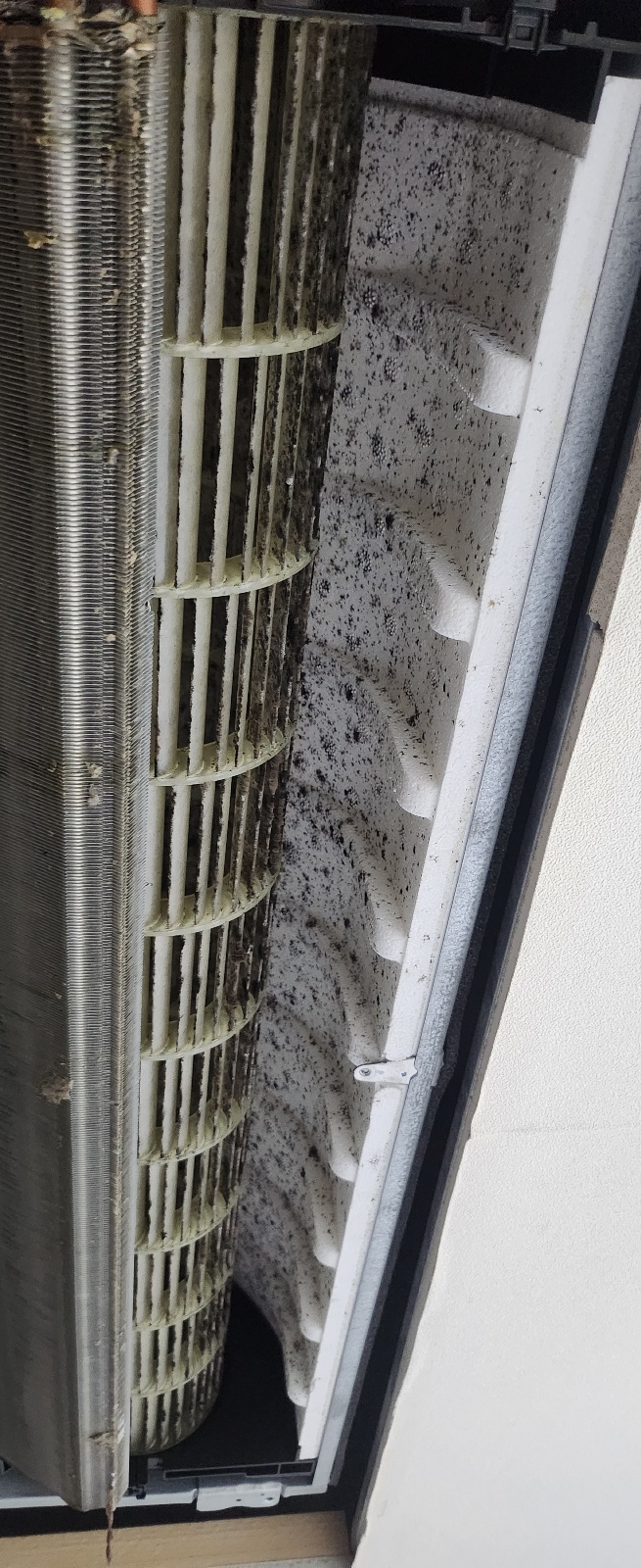 ac989ede296eba1b31cc3e89c203dca8_1765940185_1489.jpg