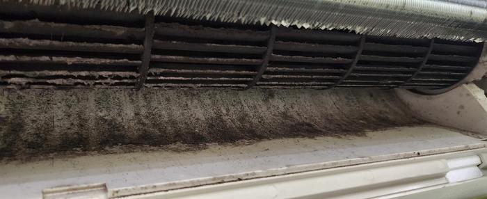ac989ede296eba1b31cc3e89c203dca8_1765940293_3774.jpg